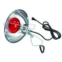 10.5" Brooder Reflector Lamp - 170017