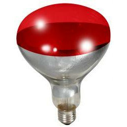 250 Watt Red Bulb For Brooder Lamp - 170024
