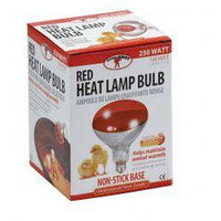 250 Watt Red Bulb For Brooder Lamp - 170024