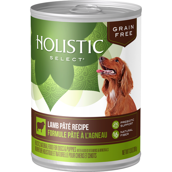 Holistic Select Grain Free Lamb Pate Can