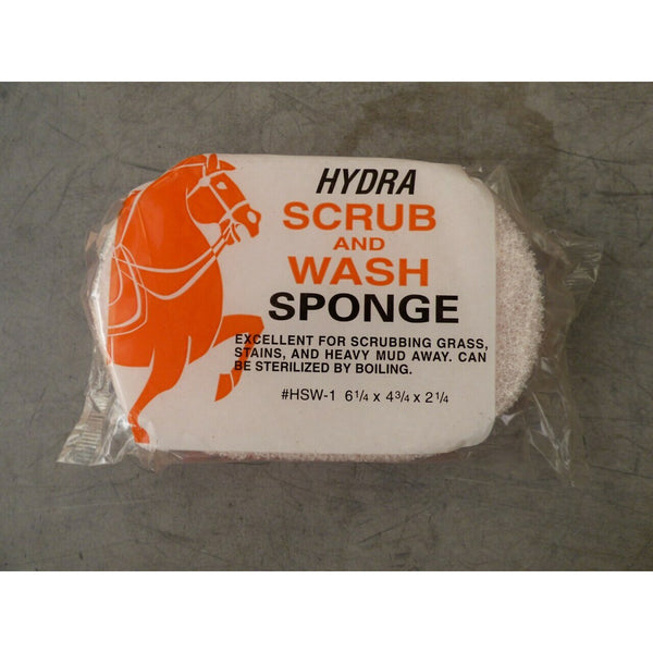 Scrub and Wash Sponge