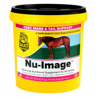 Nu-Image