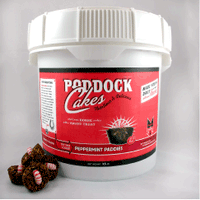 Paddock Cakes Peppermint Paddies