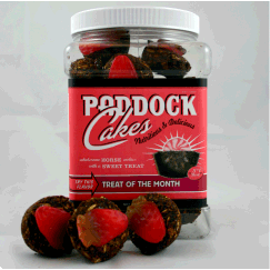 Paddock Cakes - Treat of the Month