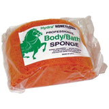Body/Bath Sponge