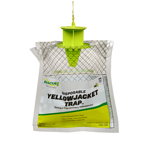 Disposable Yellow Jacket Trap